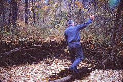 Bruce Dorrough; log